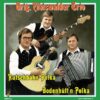 7″ Vinyl Single – Orig. Eibiswalder Trio –Rutschbahn Polka / Bodenhütt'n Polka – VMMF Deel 26
